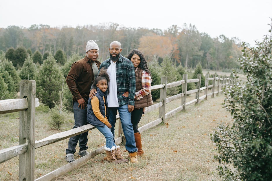 What is an American Christmas like?